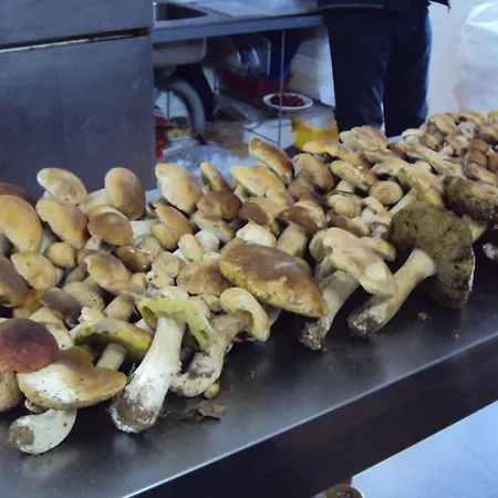 Degli Sfizi Bed and breakfast