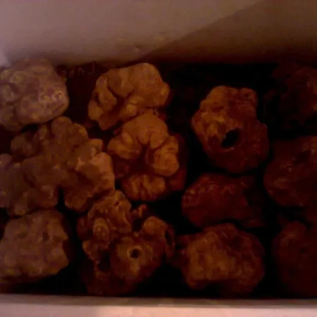 Degli Sfizi Oda ve Kahvaltı Cravanzana